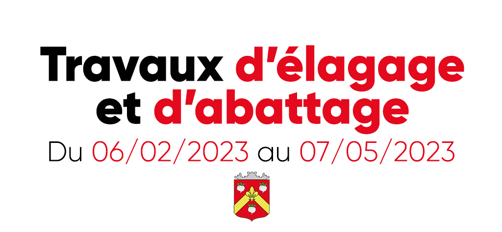 Travaux d’élagage et d’abattage